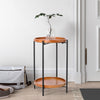 2 Tier Tall Modern Metal Plant Stand